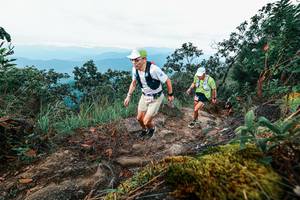 BIB: 
                            <button type="button" onclick="openModal(25406963)" class="btn btn-primary btn-sm float-right btn-popup" data-toggle="modal" data-target=".modal-high-quality">
                        <i class="fas fa-shopping-cart"></i> Add to Cart
                    </button>
                                            <button type="button" onclick="isThisMe(25406963, true)" class="btn btn-success btn-sm float-right btn-popup btn-isme hidden" data-toggle="tooltip" data-placement="bottom" title="นี่คือรูปของคุณใช่ไหม คลิกที่นี่เพื่อเอาเข้าอัลบั้ม">
                        <i class="fas fa-plus"></i> Add to album
                    </button>
                    <button type="button" onclick="isThisMe(25406963, false)" class="btn btn-warning btn-sm float-right btn-popup btn-isnotme hidden">
                        <i class="fas fa-ban"></i> Remove from album
                    </button>