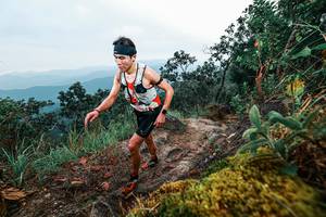 BIB: 
                            <button type="button" onclick="openModal(25403160)" class="btn btn-primary btn-sm float-right btn-popup" data-toggle="modal" data-target=".modal-high-quality">
                        <i class="fas fa-shopping-cart"></i> Add to Cart
                    </button>
                                            <button type="button" onclick="isThisMe(25403160, true)" class="btn btn-success btn-sm float-right btn-popup btn-isme hidden" data-toggle="tooltip" data-placement="bottom" title="นี่คือรูปของคุณใช่ไหม คลิกที่นี่เพื่อเอาเข้าอัลบั้ม">
                        <i class="fas fa-plus"></i> Add to album
                    </button>
                    <button type="button" onclick="isThisMe(25403160, false)" class="btn btn-warning btn-sm float-right btn-popup btn-isnotme hidden">
                        <i class="fas fa-ban"></i> Remove from album
                    </button>