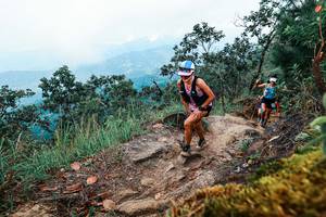 BIB: 
                            <button type="button" onclick="openModal(25417775)" class="btn btn-primary btn-sm float-right btn-popup" data-toggle="modal" data-target=".modal-high-quality">
                        <i class="fas fa-shopping-cart"></i> Add to Cart
                    </button>
                                            <button type="button" onclick="isThisMe(25417775, true)" class="btn btn-success btn-sm float-right btn-popup btn-isme hidden" data-toggle="tooltip" data-placement="bottom" title="นี่คือรูปของคุณใช่ไหม คลิกที่นี่เพื่อเอาเข้าอัลบั้ม">
                        <i class="fas fa-plus"></i> Add to album
                    </button>
                    <button type="button" onclick="isThisMe(25417775, false)" class="btn btn-warning btn-sm float-right btn-popup btn-isnotme hidden">
                        <i class="fas fa-ban"></i> Remove from album
                    </button>