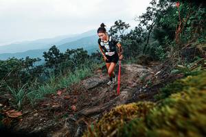 BIB: 
                            <button type="button" onclick="openModal(25403049)" class="btn btn-primary btn-sm float-right btn-popup" data-toggle="modal" data-target=".modal-high-quality">
                        <i class="fas fa-shopping-cart"></i> Add to Cart
                    </button>
                                            <button type="button" onclick="isThisMe(25403049, true)" class="btn btn-success btn-sm float-right btn-popup btn-isme hidden" data-toggle="tooltip" data-placement="bottom" title="นี่คือรูปของคุณใช่ไหม คลิกที่นี่เพื่อเอาเข้าอัลบั้ม">
                        <i class="fas fa-plus"></i> Add to album
                    </button>
                    <button type="button" onclick="isThisMe(25403049, false)" class="btn btn-warning btn-sm float-right btn-popup btn-isnotme hidden">
                        <i class="fas fa-ban"></i> Remove from album
                    </button>