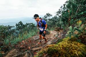 BIB: 
                            <button type="button" onclick="openModal(25404317)" class="btn btn-primary btn-sm float-right btn-popup" data-toggle="modal" data-target=".modal-high-quality">
                        <i class="fas fa-shopping-cart"></i> Add to Cart
                    </button>
                                            <button type="button" onclick="isThisMe(25404317, true)" class="btn btn-success btn-sm float-right btn-popup btn-isme hidden" data-toggle="tooltip" data-placement="bottom" title="นี่คือรูปของคุณใช่ไหม คลิกที่นี่เพื่อเอาเข้าอัลบั้ม">
                        <i class="fas fa-plus"></i> Add to album
                    </button>
                    <button type="button" onclick="isThisMe(25404317, false)" class="btn btn-warning btn-sm float-right btn-popup btn-isnotme hidden">
                        <i class="fas fa-ban"></i> Remove from album
                    </button>