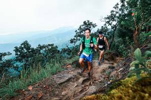 BIB: 
                            <button type="button" onclick="openModal(25415677)" class="btn btn-primary btn-sm float-right btn-popup" data-toggle="modal" data-target=".modal-high-quality">
                        <i class="fas fa-shopping-cart"></i> Add to Cart
                    </button>
                                            <button type="button" onclick="isThisMe(25415677, true)" class="btn btn-success btn-sm float-right btn-popup btn-isme hidden" data-toggle="tooltip" data-placement="bottom" title="นี่คือรูปของคุณใช่ไหม คลิกที่นี่เพื่อเอาเข้าอัลบั้ม">
                        <i class="fas fa-plus"></i> Add to album
                    </button>
                    <button type="button" onclick="isThisMe(25415677, false)" class="btn btn-warning btn-sm float-right btn-popup btn-isnotme hidden">
                        <i class="fas fa-ban"></i> Remove from album
                    </button>