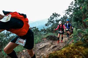 BIB: 
                            <button type="button" onclick="openModal(25425717)" class="btn btn-primary btn-sm float-right btn-popup" data-toggle="modal" data-target=".modal-high-quality">
                        <i class="fas fa-shopping-cart"></i> Add to Cart
                    </button>
                                            <button type="button" onclick="isThisMe(25425717, true)" class="btn btn-success btn-sm float-right btn-popup btn-isme hidden" data-toggle="tooltip" data-placement="bottom" title="นี่คือรูปของคุณใช่ไหม คลิกที่นี่เพื่อเอาเข้าอัลบั้ม">
                        <i class="fas fa-plus"></i> Add to album
                    </button>
                    <button type="button" onclick="isThisMe(25425717, false)" class="btn btn-warning btn-sm float-right btn-popup btn-isnotme hidden">
                        <i class="fas fa-ban"></i> Remove from album
                    </button>