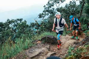 BIB: 
                            <button type="button" onclick="openModal(25424973)" class="btn btn-primary btn-sm float-right btn-popup" data-toggle="modal" data-target=".modal-high-quality">
                        <i class="fas fa-shopping-cart"></i> Add to Cart
                    </button>
                                            <button type="button" onclick="isThisMe(25424973, true)" class="btn btn-success btn-sm float-right btn-popup btn-isme hidden" data-toggle="tooltip" data-placement="bottom" title="นี่คือรูปของคุณใช่ไหม คลิกที่นี่เพื่อเอาเข้าอัลบั้ม">
                        <i class="fas fa-plus"></i> Add to album
                    </button>
                    <button type="button" onclick="isThisMe(25424973, false)" class="btn btn-warning btn-sm float-right btn-popup btn-isnotme hidden">
                        <i class="fas fa-ban"></i> Remove from album
                    </button>