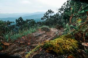 BIB: 
                            <button type="button" onclick="openModal(25403131)" class="btn btn-primary btn-sm float-right btn-popup" data-toggle="modal" data-target=".modal-high-quality">
                        <i class="fas fa-shopping-cart"></i> Add to Cart
                    </button>
                                            <button type="button" onclick="isThisMe(25403131, true)" class="btn btn-success btn-sm float-right btn-popup btn-isme hidden" data-toggle="tooltip" data-placement="bottom" title="นี่คือรูปของคุณใช่ไหม คลิกที่นี่เพื่อเอาเข้าอัลบั้ม">
                        <i class="fas fa-plus"></i> Add to album
                    </button>
                    <button type="button" onclick="isThisMe(25403131, false)" class="btn btn-warning btn-sm float-right btn-popup btn-isnotme hidden">
                        <i class="fas fa-ban"></i> Remove from album
                    </button>