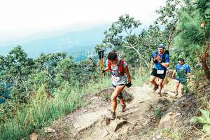 BIB: 
                            <button type="button" onclick="openModal(25547060)" class="btn btn-primary btn-sm float-right btn-popup" data-toggle="modal" data-target=".modal-high-quality">
                        <i class="fas fa-shopping-cart"></i> Add to Cart
                    </button>
                                            <button type="button" onclick="isThisMe(25547060, true)" class="btn btn-success btn-sm float-right btn-popup btn-isme hidden" data-toggle="tooltip" data-placement="bottom" title="นี่คือรูปของคุณใช่ไหม คลิกที่นี่เพื่อเอาเข้าอัลบั้ม">
                        <i class="fas fa-plus"></i> Add to album
                    </button>
                    <button type="button" onclick="isThisMe(25547060, false)" class="btn btn-warning btn-sm float-right btn-popup btn-isnotme hidden">
                        <i class="fas fa-ban"></i> Remove from album
                    </button>