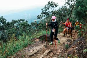 BIB: 
                            <button type="button" onclick="openModal(25539898)" class="btn btn-primary btn-sm float-right btn-popup" data-toggle="modal" data-target=".modal-high-quality">
                        <i class="fas fa-shopping-cart"></i> Add to Cart
                    </button>
                                            <button type="button" onclick="isThisMe(25539898, true)" class="btn btn-success btn-sm float-right btn-popup btn-isme hidden" data-toggle="tooltip" data-placement="bottom" title="นี่คือรูปของคุณใช่ไหม คลิกที่นี่เพื่อเอาเข้าอัลบั้ม">
                        <i class="fas fa-plus"></i> Add to album
                    </button>
                    <button type="button" onclick="isThisMe(25539898, false)" class="btn btn-warning btn-sm float-right btn-popup btn-isnotme hidden">
                        <i class="fas fa-ban"></i> Remove from album
                    </button>