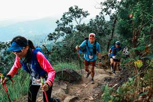 BIB: 
                            <button type="button" onclick="openModal(25538366)" class="btn btn-primary btn-sm float-right btn-popup" data-toggle="modal" data-target=".modal-high-quality">
                        <i class="fas fa-shopping-cart"></i> Add to Cart
                    </button>
                                            <button type="button" onclick="isThisMe(25538366, true)" class="btn btn-success btn-sm float-right btn-popup btn-isme hidden" data-toggle="tooltip" data-placement="bottom" title="นี่คือรูปของคุณใช่ไหม คลิกที่นี่เพื่อเอาเข้าอัลบั้ม">
                        <i class="fas fa-plus"></i> Add to album
                    </button>
                    <button type="button" onclick="isThisMe(25538366, false)" class="btn btn-warning btn-sm float-right btn-popup btn-isnotme hidden">
                        <i class="fas fa-ban"></i> Remove from album
                    </button>