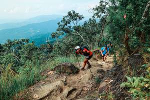 BIB: 
                            <button type="button" onclick="openModal(25545563)" class="btn btn-primary btn-sm float-right btn-popup" data-toggle="modal" data-target=".modal-high-quality">
                        <i class="fas fa-shopping-cart"></i> Add to Cart
                    </button>
                                            <button type="button" onclick="isThisMe(25545563, true)" class="btn btn-success btn-sm float-right btn-popup btn-isme hidden" data-toggle="tooltip" data-placement="bottom" title="นี่คือรูปของคุณใช่ไหม คลิกที่นี่เพื่อเอาเข้าอัลบั้ม">
                        <i class="fas fa-plus"></i> Add to album
                    </button>
                    <button type="button" onclick="isThisMe(25545563, false)" class="btn btn-warning btn-sm float-right btn-popup btn-isnotme hidden">
                        <i class="fas fa-ban"></i> Remove from album
                    </button>