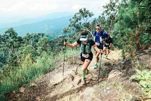 BIB: 
                            <button type="button" onclick="openModal(25545859)" class="btn btn-primary btn-sm float-right btn-popup" data-toggle="modal" data-target=".modal-high-quality">
                        <i class="fas fa-shopping-cart"></i> Add to Cart
                    </button>
                                            <button type="button" onclick="isThisMe(25545859, true)" class="btn btn-success btn-sm float-right btn-popup btn-isme hidden" data-toggle="tooltip" data-placement="bottom" title="นี่คือรูปของคุณใช่ไหม คลิกที่นี่เพื่อเอาเข้าอัลบั้ม">
                        <i class="fas fa-plus"></i> Add to album
                    </button>
                    <button type="button" onclick="isThisMe(25545859, false)" class="btn btn-warning btn-sm float-right btn-popup btn-isnotme hidden">
                        <i class="fas fa-ban"></i> Remove from album
                    </button>