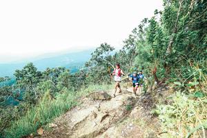 BIB: 
                            <button type="button" onclick="openModal(25547041)" class="btn btn-primary btn-sm float-right btn-popup" data-toggle="modal" data-target=".modal-high-quality">
                        <i class="fas fa-shopping-cart"></i> Add to Cart
                    </button>
                                            <button type="button" onclick="isThisMe(25547041, true)" class="btn btn-success btn-sm float-right btn-popup btn-isme hidden" data-toggle="tooltip" data-placement="bottom" title="นี่คือรูปของคุณใช่ไหม คลิกที่นี่เพื่อเอาเข้าอัลบั้ม">
                        <i class="fas fa-plus"></i> Add to album
                    </button>
                    <button type="button" onclick="isThisMe(25547041, false)" class="btn btn-warning btn-sm float-right btn-popup btn-isnotme hidden">
                        <i class="fas fa-ban"></i> Remove from album
                    </button>