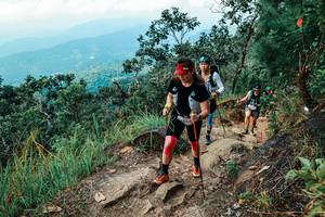 BIB: 
                            <button type="button" onclick="openModal(25547350)" class="btn btn-primary btn-sm float-right btn-popup" data-toggle="modal" data-target=".modal-high-quality">
                        <i class="fas fa-shopping-cart"></i> Add to Cart
                    </button>
                                            <button type="button" onclick="isThisMe(25547350, true)" class="btn btn-success btn-sm float-right btn-popup btn-isme hidden" data-toggle="tooltip" data-placement="bottom" title="นี่คือรูปของคุณใช่ไหม คลิกที่นี่เพื่อเอาเข้าอัลบั้ม">
                        <i class="fas fa-plus"></i> Add to album
                    </button>
                    <button type="button" onclick="isThisMe(25547350, false)" class="btn btn-warning btn-sm float-right btn-popup btn-isnotme hidden">
                        <i class="fas fa-ban"></i> Remove from album
                    </button>