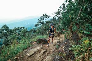 BIB: 
                            <button type="button" onclick="openModal(25545505)" class="btn btn-primary btn-sm float-right btn-popup" data-toggle="modal" data-target=".modal-high-quality">
                        <i class="fas fa-shopping-cart"></i> Add to Cart
                    </button>
                                            <button type="button" onclick="isThisMe(25545505, true)" class="btn btn-success btn-sm float-right btn-popup btn-isme hidden" data-toggle="tooltip" data-placement="bottom" title="นี่คือรูปของคุณใช่ไหม คลิกที่นี่เพื่อเอาเข้าอัลบั้ม">
                        <i class="fas fa-plus"></i> Add to album
                    </button>
                    <button type="button" onclick="isThisMe(25545505, false)" class="btn btn-warning btn-sm float-right btn-popup btn-isnotme hidden">
                        <i class="fas fa-ban"></i> Remove from album
                    </button>