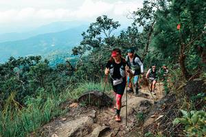 BIB: 
                            <button type="button" onclick="openModal(25547349)" class="btn btn-primary btn-sm float-right btn-popup" data-toggle="modal" data-target=".modal-high-quality">
                        <i class="fas fa-shopping-cart"></i> Add to Cart
                    </button>
                                            <button type="button" onclick="isThisMe(25547349, true)" class="btn btn-success btn-sm float-right btn-popup btn-isme hidden" data-toggle="tooltip" data-placement="bottom" title="นี่คือรูปของคุณใช่ไหม คลิกที่นี่เพื่อเอาเข้าอัลบั้ม">
                        <i class="fas fa-plus"></i> Add to album
                    </button>
                    <button type="button" onclick="isThisMe(25547349, false)" class="btn btn-warning btn-sm float-right btn-popup btn-isnotme hidden">
                        <i class="fas fa-ban"></i> Remove from album
                    </button>