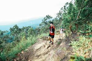 BIB: 
                            <button type="button" onclick="openModal(25547006)" class="btn btn-primary btn-sm float-right btn-popup" data-toggle="modal" data-target=".modal-high-quality">
                        <i class="fas fa-shopping-cart"></i> Add to Cart
                    </button>
                                            <button type="button" onclick="isThisMe(25547006, true)" class="btn btn-success btn-sm float-right btn-popup btn-isme hidden" data-toggle="tooltip" data-placement="bottom" title="นี่คือรูปของคุณใช่ไหม คลิกที่นี่เพื่อเอาเข้าอัลบั้ม">
                        <i class="fas fa-plus"></i> Add to album
                    </button>
                    <button type="button" onclick="isThisMe(25547006, false)" class="btn btn-warning btn-sm float-right btn-popup btn-isnotme hidden">
                        <i class="fas fa-ban"></i> Remove from album
                    </button>