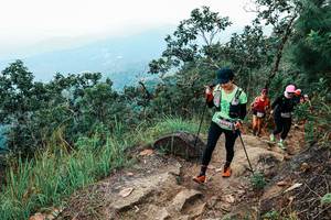 BIB: 
                            <button type="button" onclick="openModal(25539892)" class="btn btn-primary btn-sm float-right btn-popup" data-toggle="modal" data-target=".modal-high-quality">
                        <i class="fas fa-shopping-cart"></i> Add to Cart
                    </button>
                                            <button type="button" onclick="isThisMe(25539892, true)" class="btn btn-success btn-sm float-right btn-popup btn-isme hidden" data-toggle="tooltip" data-placement="bottom" title="นี่คือรูปของคุณใช่ไหม คลิกที่นี่เพื่อเอาเข้าอัลบั้ม">
                        <i class="fas fa-plus"></i> Add to album
                    </button>
                    <button type="button" onclick="isThisMe(25539892, false)" class="btn btn-warning btn-sm float-right btn-popup btn-isnotme hidden">
                        <i class="fas fa-ban"></i> Remove from album
                    </button>