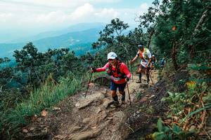 BIB: 
                            <button type="button" onclick="openModal(25548100)" class="btn btn-primary btn-sm float-right btn-popup" data-toggle="modal" data-target=".modal-high-quality">
                        <i class="fas fa-shopping-cart"></i> Add to Cart
                    </button>
                                            <button type="button" onclick="isThisMe(25548100, true)" class="btn btn-success btn-sm float-right btn-popup btn-isme hidden" data-toggle="tooltip" data-placement="bottom" title="นี่คือรูปของคุณใช่ไหม คลิกที่นี่เพื่อเอาเข้าอัลบั้ม">
                        <i class="fas fa-plus"></i> Add to album
                    </button>
                    <button type="button" onclick="isThisMe(25548100, false)" class="btn btn-warning btn-sm float-right btn-popup btn-isnotme hidden">
                        <i class="fas fa-ban"></i> Remove from album
                    </button>