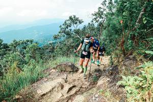 BIB: 
                            <button type="button" onclick="openModal(25545872)" class="btn btn-primary btn-sm float-right btn-popup" data-toggle="modal" data-target=".modal-high-quality">
                        <i class="fas fa-shopping-cart"></i> Add to Cart
                    </button>
                                            <button type="button" onclick="isThisMe(25545872, true)" class="btn btn-success btn-sm float-right btn-popup btn-isme hidden" data-toggle="tooltip" data-placement="bottom" title="นี่คือรูปของคุณใช่ไหม คลิกที่นี่เพื่อเอาเข้าอัลบั้ม">
                        <i class="fas fa-plus"></i> Add to album
                    </button>
                    <button type="button" onclick="isThisMe(25545872, false)" class="btn btn-warning btn-sm float-right btn-popup btn-isnotme hidden">
                        <i class="fas fa-ban"></i> Remove from album
                    </button>