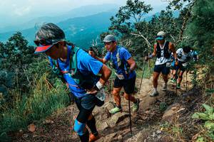 BIB: 
                            <button type="button" onclick="openModal(25542638)" class="btn btn-primary btn-sm float-right btn-popup" data-toggle="modal" data-target=".modal-high-quality">
                        <i class="fas fa-shopping-cart"></i> Add to Cart
                    </button>
                                            <button type="button" onclick="isThisMe(25542638, true)" class="btn btn-success btn-sm float-right btn-popup btn-isme hidden" data-toggle="tooltip" data-placement="bottom" title="นี่คือรูปของคุณใช่ไหม คลิกที่นี่เพื่อเอาเข้าอัลบั้ม">
                        <i class="fas fa-plus"></i> Add to album
                    </button>
                    <button type="button" onclick="isThisMe(25542638, false)" class="btn btn-warning btn-sm float-right btn-popup btn-isnotme hidden">
                        <i class="fas fa-ban"></i> Remove from album
                    </button>