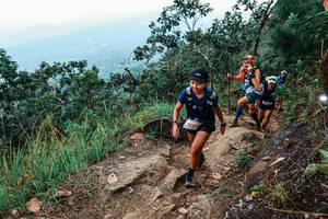 BIB: 
                            <button type="button" onclick="openModal(25540713)" class="btn btn-primary btn-sm float-right btn-popup" data-toggle="modal" data-target=".modal-high-quality">
                        <i class="fas fa-shopping-cart"></i> Add to Cart
                    </button>
                                            <button type="button" onclick="isThisMe(25540713, true)" class="btn btn-success btn-sm float-right btn-popup btn-isme hidden" data-toggle="tooltip" data-placement="bottom" title="นี่คือรูปของคุณใช่ไหม คลิกที่นี่เพื่อเอาเข้าอัลบั้ม">
                        <i class="fas fa-plus"></i> Add to album
                    </button>
                    <button type="button" onclick="isThisMe(25540713, false)" class="btn btn-warning btn-sm float-right btn-popup btn-isnotme hidden">
                        <i class="fas fa-ban"></i> Remove from album
                    </button>