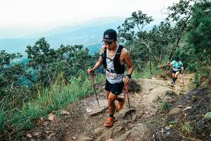 BIB: 
                            <button type="button" onclick="openModal(25546668)" class="btn btn-primary btn-sm float-right btn-popup" data-toggle="modal" data-target=".modal-high-quality">
                        <i class="fas fa-shopping-cart"></i> Add to Cart
                    </button>
                                            <button type="button" onclick="isThisMe(25546668, true)" class="btn btn-success btn-sm float-right btn-popup btn-isme hidden" data-toggle="tooltip" data-placement="bottom" title="นี่คือรูปของคุณใช่ไหม คลิกที่นี่เพื่อเอาเข้าอัลบั้ม">
                        <i class="fas fa-plus"></i> Add to album
                    </button>
                    <button type="button" onclick="isThisMe(25546668, false)" class="btn btn-warning btn-sm float-right btn-popup btn-isnotme hidden">
                        <i class="fas fa-ban"></i> Remove from album
                    </button>