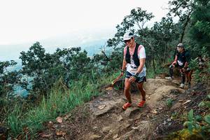 BIB: 
                            <button type="button" onclick="openModal(25537590)" class="btn btn-primary btn-sm float-right btn-popup" data-toggle="modal" data-target=".modal-high-quality">
                        <i class="fas fa-shopping-cart"></i> Add to Cart
                    </button>
                                            <button type="button" onclick="isThisMe(25537590, true)" class="btn btn-success btn-sm float-right btn-popup btn-isme hidden" data-toggle="tooltip" data-placement="bottom" title="นี่คือรูปของคุณใช่ไหม คลิกที่นี่เพื่อเอาเข้าอัลบั้ม">
                        <i class="fas fa-plus"></i> Add to album
                    </button>
                    <button type="button" onclick="isThisMe(25537590, false)" class="btn btn-warning btn-sm float-right btn-popup btn-isnotme hidden">
                        <i class="fas fa-ban"></i> Remove from album
                    </button>