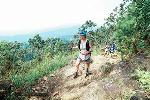 BIB: 
                            <button type="button" onclick="openModal(25547042)" class="btn btn-primary btn-sm float-right btn-popup" data-toggle="modal" data-target=".modal-high-quality">
                        <i class="fas fa-shopping-cart"></i> Add to Cart
                    </button>
                                            <button type="button" onclick="isThisMe(25547042, true)" class="btn btn-success btn-sm float-right btn-popup btn-isme hidden" data-toggle="tooltip" data-placement="bottom" title="นี่คือรูปของคุณใช่ไหม คลิกที่นี่เพื่อเอาเข้าอัลบั้ม">
                        <i class="fas fa-plus"></i> Add to album
                    </button>
                    <button type="button" onclick="isThisMe(25547042, false)" class="btn btn-warning btn-sm float-right btn-popup btn-isnotme hidden">
                        <i class="fas fa-ban"></i> Remove from album
                    </button>