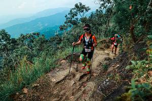 BIB: 
                            <button type="button" onclick="openModal(25545564)" class="btn btn-primary btn-sm float-right btn-popup" data-toggle="modal" data-target=".modal-high-quality">
                        <i class="fas fa-shopping-cart"></i> Add to Cart
                    </button>
                                            <button type="button" onclick="isThisMe(25545564, true)" class="btn btn-success btn-sm float-right btn-popup btn-isme hidden" data-toggle="tooltip" data-placement="bottom" title="นี่คือรูปของคุณใช่ไหม คลิกที่นี่เพื่อเอาเข้าอัลบั้ม">
                        <i class="fas fa-plus"></i> Add to album
                    </button>
                    <button type="button" onclick="isThisMe(25545564, false)" class="btn btn-warning btn-sm float-right btn-popup btn-isnotme hidden">
                        <i class="fas fa-ban"></i> Remove from album
                    </button>