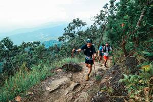 BIB: 
                            <button type="button" onclick="openModal(25546721)" class="btn btn-primary btn-sm float-right btn-popup" data-toggle="modal" data-target=".modal-high-quality">
                        <i class="fas fa-shopping-cart"></i> Add to Cart
                    </button>
                                            <button type="button" onclick="isThisMe(25546721, true)" class="btn btn-success btn-sm float-right btn-popup btn-isme hidden" data-toggle="tooltip" data-placement="bottom" title="นี่คือรูปของคุณใช่ไหม คลิกที่นี่เพื่อเอาเข้าอัลบั้ม">
                        <i class="fas fa-plus"></i> Add to album
                    </button>
                    <button type="button" onclick="isThisMe(25546721, false)" class="btn btn-warning btn-sm float-right btn-popup btn-isnotme hidden">
                        <i class="fas fa-ban"></i> Remove from album
                    </button>