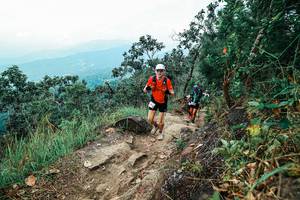 BIB: 
                            <button type="button" onclick="openModal(25543122)" class="btn btn-primary btn-sm float-right btn-popup" data-toggle="modal" data-target=".modal-high-quality">
                        <i class="fas fa-shopping-cart"></i> Add to Cart
                    </button>
                                            <button type="button" onclick="isThisMe(25543122, true)" class="btn btn-success btn-sm float-right btn-popup btn-isme hidden" data-toggle="tooltip" data-placement="bottom" title="นี่คือรูปของคุณใช่ไหม คลิกที่นี่เพื่อเอาเข้าอัลบั้ม">
                        <i class="fas fa-plus"></i> Add to album
                    </button>
                    <button type="button" onclick="isThisMe(25543122, false)" class="btn btn-warning btn-sm float-right btn-popup btn-isnotme hidden">
                        <i class="fas fa-ban"></i> Remove from album
                    </button>