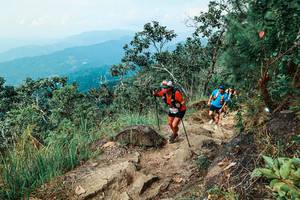 BIB: 
                            <button type="button" onclick="openModal(25545586)" class="btn btn-primary btn-sm float-right btn-popup" data-toggle="modal" data-target=".modal-high-quality">
                        <i class="fas fa-shopping-cart"></i> Add to Cart
                    </button>
                                            <button type="button" onclick="isThisMe(25545586, true)" class="btn btn-success btn-sm float-right btn-popup btn-isme hidden" data-toggle="tooltip" data-placement="bottom" title="นี่คือรูปของคุณใช่ไหม คลิกที่นี่เพื่อเอาเข้าอัลบั้ม">
                        <i class="fas fa-plus"></i> Add to album
                    </button>
                    <button type="button" onclick="isThisMe(25545586, false)" class="btn btn-warning btn-sm float-right btn-popup btn-isnotme hidden">
                        <i class="fas fa-ban"></i> Remove from album
                    </button>