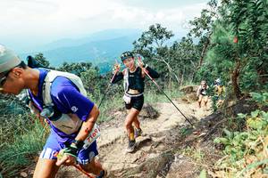 BIB: 
                            <button type="button" onclick="openModal(25549765)" class="btn btn-primary btn-sm float-right btn-popup" data-toggle="modal" data-target=".modal-high-quality">
                        <i class="fas fa-shopping-cart"></i> Add to Cart
                    </button>
                                            <button type="button" onclick="isThisMe(25549765, true)" class="btn btn-success btn-sm float-right btn-popup btn-isme hidden" data-toggle="tooltip" data-placement="bottom" title="นี่คือรูปของคุณใช่ไหม คลิกที่นี่เพื่อเอาเข้าอัลบั้ม">
                        <i class="fas fa-plus"></i> Add to album
                    </button>
                    <button type="button" onclick="isThisMe(25549765, false)" class="btn btn-warning btn-sm float-right btn-popup btn-isnotme hidden">
                        <i class="fas fa-ban"></i> Remove from album
                    </button>