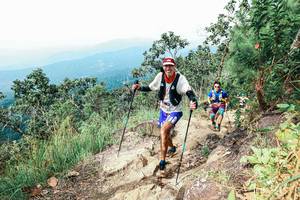 BIB: 
                            <button type="button" onclick="openModal(25542420)" class="btn btn-primary btn-sm float-right btn-popup" data-toggle="modal" data-target=".modal-high-quality">
                        <i class="fas fa-shopping-cart"></i> Add to Cart
                    </button>
                                            <button type="button" onclick="isThisMe(25542420, true)" class="btn btn-success btn-sm float-right btn-popup btn-isme hidden" data-toggle="tooltip" data-placement="bottom" title="นี่คือรูปของคุณใช่ไหม คลิกที่นี่เพื่อเอาเข้าอัลบั้ม">
                        <i class="fas fa-plus"></i> Add to album
                    </button>
                    <button type="button" onclick="isThisMe(25542420, false)" class="btn btn-warning btn-sm float-right btn-popup btn-isnotme hidden">
                        <i class="fas fa-ban"></i> Remove from album
                    </button>