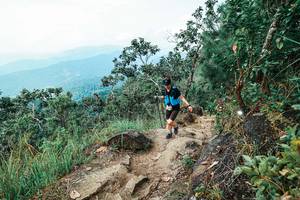 BIB: 
                            <button type="button" onclick="openModal(25545805)" class="btn btn-primary btn-sm float-right btn-popup" data-toggle="modal" data-target=".modal-high-quality">
                        <i class="fas fa-shopping-cart"></i> Add to Cart
                    </button>
                                            <button type="button" onclick="isThisMe(25545805, true)" class="btn btn-success btn-sm float-right btn-popup btn-isme hidden" data-toggle="tooltip" data-placement="bottom" title="นี่คือรูปของคุณใช่ไหม คลิกที่นี่เพื่อเอาเข้าอัลบั้ม">
                        <i class="fas fa-plus"></i> Add to album
                    </button>
                    <button type="button" onclick="isThisMe(25545805, false)" class="btn btn-warning btn-sm float-right btn-popup btn-isnotme hidden">
                        <i class="fas fa-ban"></i> Remove from album
                    </button>