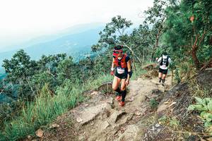 BIB: 
                            <button type="button" onclick="openModal(25545824)" class="btn btn-primary btn-sm float-right btn-popup" data-toggle="modal" data-target=".modal-high-quality">
                        <i class="fas fa-shopping-cart"></i> Add to Cart
                    </button>
                                            <button type="button" onclick="isThisMe(25545824, true)" class="btn btn-success btn-sm float-right btn-popup btn-isme hidden" data-toggle="tooltip" data-placement="bottom" title="นี่คือรูปของคุณใช่ไหม คลิกที่นี่เพื่อเอาเข้าอัลบั้ม">
                        <i class="fas fa-plus"></i> Add to album
                    </button>
                    <button type="button" onclick="isThisMe(25545824, false)" class="btn btn-warning btn-sm float-right btn-popup btn-isnotme hidden">
                        <i class="fas fa-ban"></i> Remove from album
                    </button>