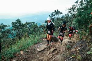 BIB: 
                            <button type="button" onclick="openModal(25546460)" class="btn btn-primary btn-sm float-right btn-popup" data-toggle="modal" data-target=".modal-high-quality">
                        <i class="fas fa-shopping-cart"></i> Add to Cart
                    </button>
                                            <button type="button" onclick="isThisMe(25546460, true)" class="btn btn-success btn-sm float-right btn-popup btn-isme hidden" data-toggle="tooltip" data-placement="bottom" title="นี่คือรูปของคุณใช่ไหม คลิกที่นี่เพื่อเอาเข้าอัลบั้ม">
                        <i class="fas fa-plus"></i> Add to album
                    </button>
                    <button type="button" onclick="isThisMe(25546460, false)" class="btn btn-warning btn-sm float-right btn-popup btn-isnotme hidden">
                        <i class="fas fa-ban"></i> Remove from album
                    </button>