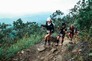 BIB: 
                            <button type="button" onclick="openModal(25546462)" class="btn btn-primary btn-sm float-right btn-popup" data-toggle="modal" data-target=".modal-high-quality">
                        <i class="fas fa-shopping-cart"></i> Add to Cart
                    </button>
                                            <button type="button" onclick="isThisMe(25546462, true)" class="btn btn-success btn-sm float-right btn-popup btn-isme hidden" data-toggle="tooltip" data-placement="bottom" title="นี่คือรูปของคุณใช่ไหม คลิกที่นี่เพื่อเอาเข้าอัลบั้ม">
                        <i class="fas fa-plus"></i> Add to album
                    </button>
                    <button type="button" onclick="isThisMe(25546462, false)" class="btn btn-warning btn-sm float-right btn-popup btn-isnotme hidden">
                        <i class="fas fa-ban"></i> Remove from album
                    </button>