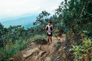 BIB: 
                            <button type="button" onclick="openModal(25545306)" class="btn btn-primary btn-sm float-right btn-popup" data-toggle="modal" data-target=".modal-high-quality">
                        <i class="fas fa-shopping-cart"></i> Add to Cart
                    </button>
                                            <button type="button" onclick="isThisMe(25545306, true)" class="btn btn-success btn-sm float-right btn-popup btn-isme hidden" data-toggle="tooltip" data-placement="bottom" title="นี่คือรูปของคุณใช่ไหม คลิกที่นี่เพื่อเอาเข้าอัลบั้ม">
                        <i class="fas fa-plus"></i> Add to album
                    </button>
                    <button type="button" onclick="isThisMe(25545306, false)" class="btn btn-warning btn-sm float-right btn-popup btn-isnotme hidden">
                        <i class="fas fa-ban"></i> Remove from album
                    </button>