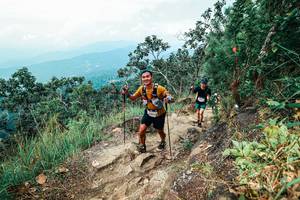 BIB: 
                            <button type="button" onclick="openModal(25542941)" class="btn btn-primary btn-sm float-right btn-popup" data-toggle="modal" data-target=".modal-high-quality">
                        <i class="fas fa-shopping-cart"></i> Add to Cart
                    </button>
                                            <button type="button" onclick="isThisMe(25542941, true)" class="btn btn-success btn-sm float-right btn-popup btn-isme hidden" data-toggle="tooltip" data-placement="bottom" title="นี่คือรูปของคุณใช่ไหม คลิกที่นี่เพื่อเอาเข้าอัลบั้ม">
                        <i class="fas fa-plus"></i> Add to album
                    </button>
                    <button type="button" onclick="isThisMe(25542941, false)" class="btn btn-warning btn-sm float-right btn-popup btn-isnotme hidden">
                        <i class="fas fa-ban"></i> Remove from album
                    </button>