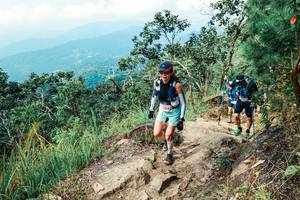 BIB: 
                            <button type="button" onclick="openModal(25547236)" class="btn btn-primary btn-sm float-right btn-popup" data-toggle="modal" data-target=".modal-high-quality">
                        <i class="fas fa-shopping-cart"></i> Add to Cart
                    </button>
                                            <button type="button" onclick="isThisMe(25547236, true)" class="btn btn-success btn-sm float-right btn-popup btn-isme hidden" data-toggle="tooltip" data-placement="bottom" title="นี่คือรูปของคุณใช่ไหม คลิกที่นี่เพื่อเอาเข้าอัลบั้ม">
                        <i class="fas fa-plus"></i> Add to album
                    </button>
                    <button type="button" onclick="isThisMe(25547236, false)" class="btn btn-warning btn-sm float-right btn-popup btn-isnotme hidden">
                        <i class="fas fa-ban"></i> Remove from album
                    </button>