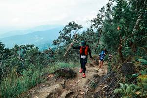 BIB: 
                            <button type="button" onclick="openModal(25545362)" class="btn btn-primary btn-sm float-right btn-popup" data-toggle="modal" data-target=".modal-high-quality">
                        <i class="fas fa-shopping-cart"></i> Add to Cart
                    </button>
                                            <button type="button" onclick="isThisMe(25545362, true)" class="btn btn-success btn-sm float-right btn-popup btn-isme hidden" data-toggle="tooltip" data-placement="bottom" title="นี่คือรูปของคุณใช่ไหม คลิกที่นี่เพื่อเอาเข้าอัลบั้ม">
                        <i class="fas fa-plus"></i> Add to album
                    </button>
                    <button type="button" onclick="isThisMe(25545362, false)" class="btn btn-warning btn-sm float-right btn-popup btn-isnotme hidden">
                        <i class="fas fa-ban"></i> Remove from album
                    </button>