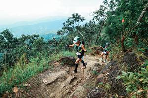 BIB: 
                            <button type="button" onclick="openModal(25546804)" class="btn btn-primary btn-sm float-right btn-popup" data-toggle="modal" data-target=".modal-high-quality">
                        <i class="fas fa-shopping-cart"></i> Add to Cart
                    </button>
                                            <button type="button" onclick="isThisMe(25546804, true)" class="btn btn-success btn-sm float-right btn-popup btn-isme hidden" data-toggle="tooltip" data-placement="bottom" title="นี่คือรูปของคุณใช่ไหม คลิกที่นี่เพื่อเอาเข้าอัลบั้ม">
                        <i class="fas fa-plus"></i> Add to album
                    </button>
                    <button type="button" onclick="isThisMe(25546804, false)" class="btn btn-warning btn-sm float-right btn-popup btn-isnotme hidden">
                        <i class="fas fa-ban"></i> Remove from album
                    </button>