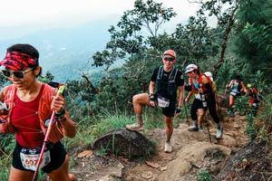 BIB: 
                            <button type="button" onclick="openModal(25539980)" class="btn btn-primary btn-sm float-right btn-popup" data-toggle="modal" data-target=".modal-high-quality">
                        <i class="fas fa-shopping-cart"></i> Add to Cart
                    </button>
                                            <button type="button" onclick="isThisMe(25539980, true)" class="btn btn-success btn-sm float-right btn-popup btn-isme hidden" data-toggle="tooltip" data-placement="bottom" title="นี่คือรูปของคุณใช่ไหม คลิกที่นี่เพื่อเอาเข้าอัลบั้ม">
                        <i class="fas fa-plus"></i> Add to album
                    </button>
                    <button type="button" onclick="isThisMe(25539980, false)" class="btn btn-warning btn-sm float-right btn-popup btn-isnotme hidden">
                        <i class="fas fa-ban"></i> Remove from album
                    </button>