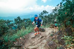 BIB: 
                            <button type="button" onclick="openModal(25559375)" class="btn btn-primary btn-sm float-right btn-popup" data-toggle="modal" data-target=".modal-high-quality">
                        <i class="fas fa-shopping-cart"></i> Add to Cart
                    </button>
                                            <button type="button" onclick="isThisMe(25559375, true)" class="btn btn-success btn-sm float-right btn-popup btn-isme hidden" data-toggle="tooltip" data-placement="bottom" title="นี่คือรูปของคุณใช่ไหม คลิกที่นี่เพื่อเอาเข้าอัลบั้ม">
                        <i class="fas fa-plus"></i> Add to album
                    </button>
                    <button type="button" onclick="isThisMe(25559375, false)" class="btn btn-warning btn-sm float-right btn-popup btn-isnotme hidden">
                        <i class="fas fa-ban"></i> Remove from album
                    </button>