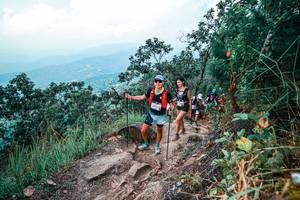 BIB: 
                            <button type="button" onclick="openModal(25560858)" class="btn btn-primary btn-sm float-right btn-popup" data-toggle="modal" data-target=".modal-high-quality">
                        <i class="fas fa-shopping-cart"></i> Add to Cart
                    </button>
                                            <button type="button" onclick="isThisMe(25560858, true)" class="btn btn-success btn-sm float-right btn-popup btn-isme hidden" data-toggle="tooltip" data-placement="bottom" title="นี่คือรูปของคุณใช่ไหม คลิกที่นี่เพื่อเอาเข้าอัลบั้ม">
                        <i class="fas fa-plus"></i> Add to album
                    </button>
                    <button type="button" onclick="isThisMe(25560858, false)" class="btn btn-warning btn-sm float-right btn-popup btn-isnotme hidden">
                        <i class="fas fa-ban"></i> Remove from album
                    </button>