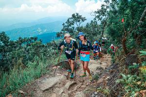 BIB: 
                            <button type="button" onclick="openModal(25559183)" class="btn btn-primary btn-sm float-right btn-popup" data-toggle="modal" data-target=".modal-high-quality">
                        <i class="fas fa-shopping-cart"></i> Add to Cart
                    </button>
                                            <button type="button" onclick="isThisMe(25559183, true)" class="btn btn-success btn-sm float-right btn-popup btn-isme hidden" data-toggle="tooltip" data-placement="bottom" title="นี่คือรูปของคุณใช่ไหม คลิกที่นี่เพื่อเอาเข้าอัลบั้ม">
                        <i class="fas fa-plus"></i> Add to album
                    </button>
                    <button type="button" onclick="isThisMe(25559183, false)" class="btn btn-warning btn-sm float-right btn-popup btn-isnotme hidden">
                        <i class="fas fa-ban"></i> Remove from album
                    </button>