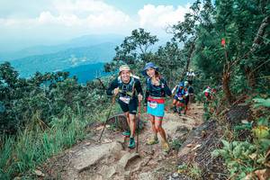 BIB: 
                            <button type="button" onclick="openModal(25559180)" class="btn btn-primary btn-sm float-right btn-popup" data-toggle="modal" data-target=".modal-high-quality">
                        <i class="fas fa-shopping-cart"></i> Add to Cart
                    </button>
                                            <button type="button" onclick="isThisMe(25559180, true)" class="btn btn-success btn-sm float-right btn-popup btn-isme hidden" data-toggle="tooltip" data-placement="bottom" title="นี่คือรูปของคุณใช่ไหม คลิกที่นี่เพื่อเอาเข้าอัลบั้ม">
                        <i class="fas fa-plus"></i> Add to album
                    </button>
                    <button type="button" onclick="isThisMe(25559180, false)" class="btn btn-warning btn-sm float-right btn-popup btn-isnotme hidden">
                        <i class="fas fa-ban"></i> Remove from album
                    </button>