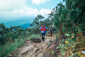 BIB: 
                            <button type="button" onclick="openModal(25559240)" class="btn btn-primary btn-sm float-right btn-popup" data-toggle="modal" data-target=".modal-high-quality">
                        <i class="fas fa-shopping-cart"></i> Add to Cart
                    </button>
                                            <button type="button" onclick="isThisMe(25559240, true)" class="btn btn-success btn-sm float-right btn-popup btn-isme hidden" data-toggle="tooltip" data-placement="bottom" title="นี่คือรูปของคุณใช่ไหม คลิกที่นี่เพื่อเอาเข้าอัลบั้ม">
                        <i class="fas fa-plus"></i> Add to album
                    </button>
                    <button type="button" onclick="isThisMe(25559240, false)" class="btn btn-warning btn-sm float-right btn-popup btn-isnotme hidden">
                        <i class="fas fa-ban"></i> Remove from album
                    </button>