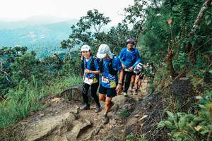 BIB: 
                            <button type="button" onclick="openModal(25556479)" class="btn btn-primary btn-sm float-right btn-popup" data-toggle="modal" data-target=".modal-high-quality">
                        <i class="fas fa-shopping-cart"></i> Add to Cart
                    </button>
                                            <button type="button" onclick="isThisMe(25556479, true)" class="btn btn-success btn-sm float-right btn-popup btn-isme hidden" data-toggle="tooltip" data-placement="bottom" title="นี่คือรูปของคุณใช่ไหม คลิกที่นี่เพื่อเอาเข้าอัลบั้ม">
                        <i class="fas fa-plus"></i> Add to album
                    </button>
                    <button type="button" onclick="isThisMe(25556479, false)" class="btn btn-warning btn-sm float-right btn-popup btn-isnotme hidden">
                        <i class="fas fa-ban"></i> Remove from album
                    </button>