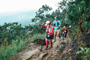 BIB: 
                            <button type="button" onclick="openModal(25556419)" class="btn btn-primary btn-sm float-right btn-popup" data-toggle="modal" data-target=".modal-high-quality">
                        <i class="fas fa-shopping-cart"></i> Add to Cart
                    </button>
                                            <button type="button" onclick="isThisMe(25556419, true)" class="btn btn-success btn-sm float-right btn-popup btn-isme hidden" data-toggle="tooltip" data-placement="bottom" title="นี่คือรูปของคุณใช่ไหม คลิกที่นี่เพื่อเอาเข้าอัลบั้ม">
                        <i class="fas fa-plus"></i> Add to album
                    </button>
                    <button type="button" onclick="isThisMe(25556419, false)" class="btn btn-warning btn-sm float-right btn-popup btn-isnotme hidden">
                        <i class="fas fa-ban"></i> Remove from album
                    </button>